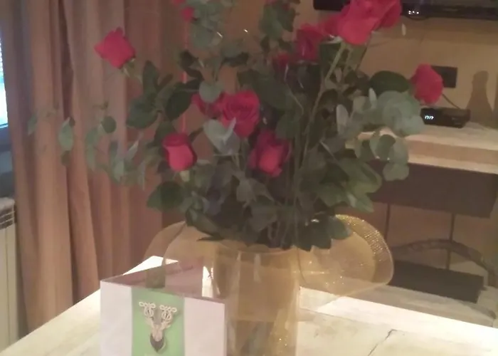 维多利亚别墅 - 络温园索非亚